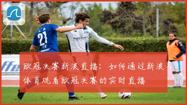 欧冠决赛新浪直播：如何通过新浪体育观看欧冠决赛的实时直播