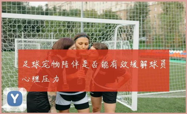 足球宠物陪伴是否能有效缓解球员心理压力