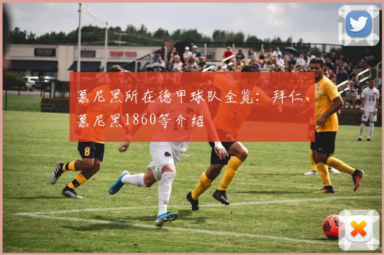 慕尼黑所在德甲球队全览：拜仁、慕尼黑1860等介绍