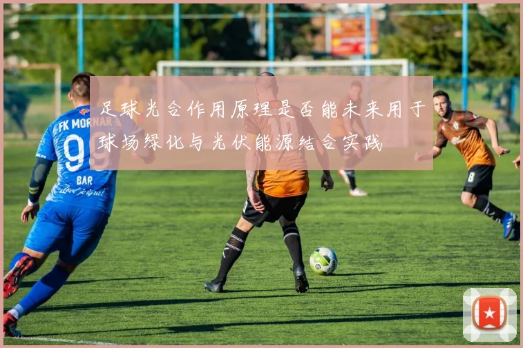 足球光合作用原理是否能未来用于球场绿化与光伏能源结合实践